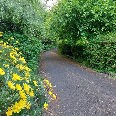 Βίλα Seascape Bliss - My Joyful Coastal Retreat In Youghal's Heart - Family Friendly - Long Term Price Cuts *