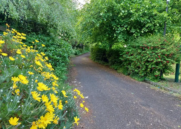 Willa Seascape Bliss - My Joyful Coastal Retreat In Youghal's Heart - Family Friendly - Long Term Price Cuts *